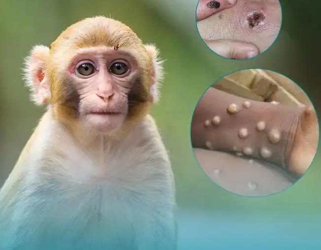 1660617191296119.jpg 111.jpg