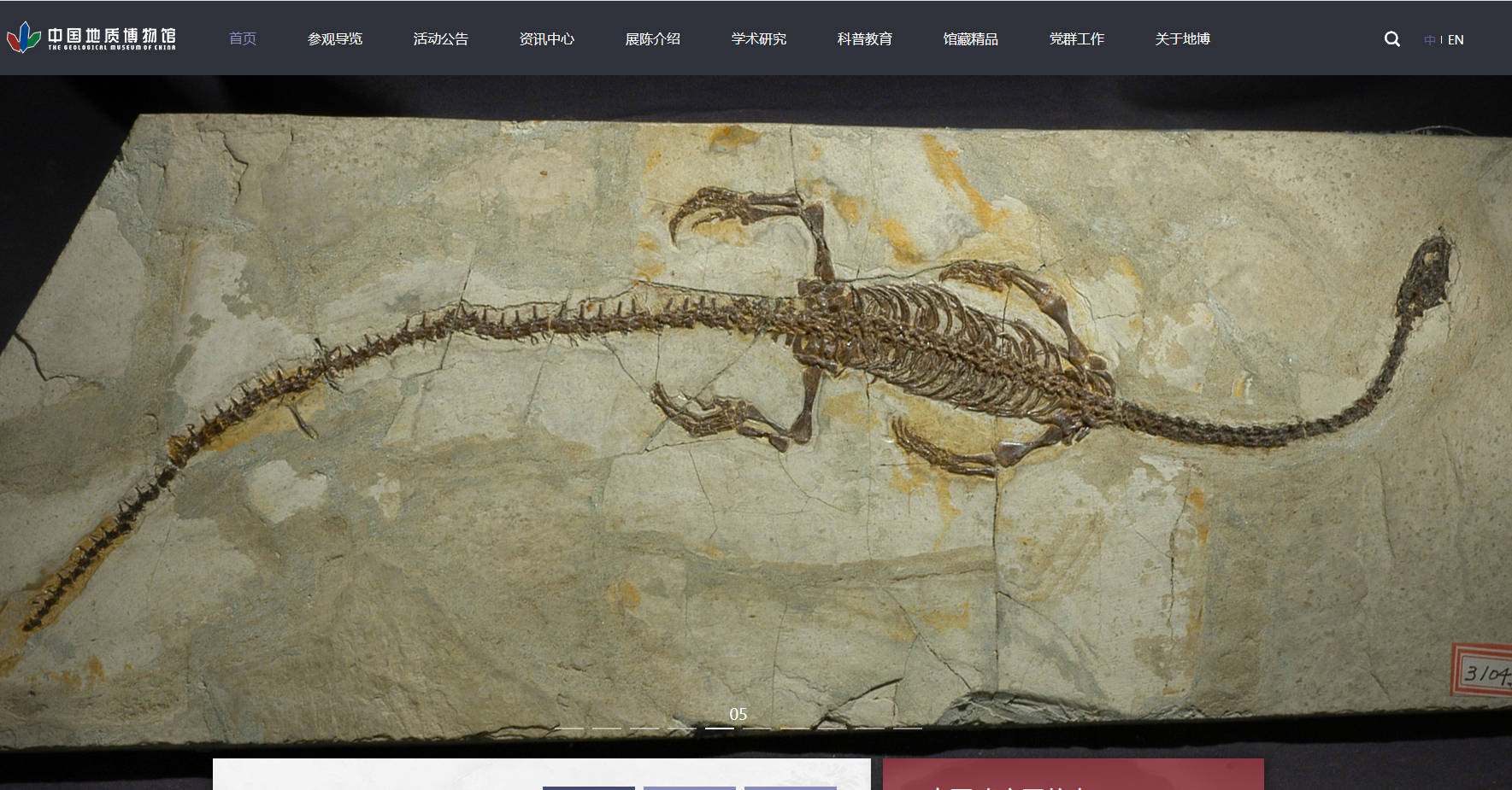 中國地質(zhì)博物館