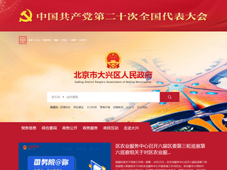 北京市大興區人民政府 - 北京市大興區人民政府網站