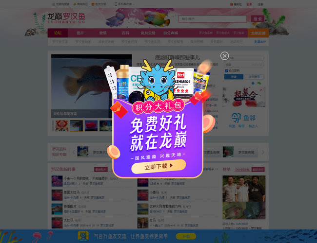 蜀麓紫砂壺藝術網